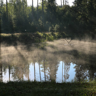 2017.07.23 - rīts pēc kāzām