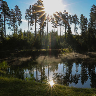 2017.07.23 - rīts pēc kāzām