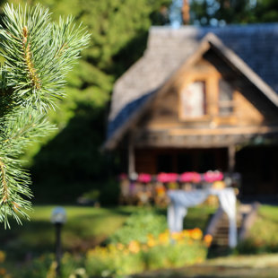 2017.07.23 - rīts pēc kāzām