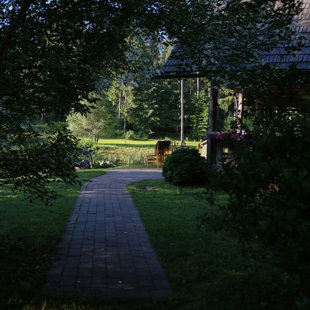 2017.07.23 - rīts pēc kāzām