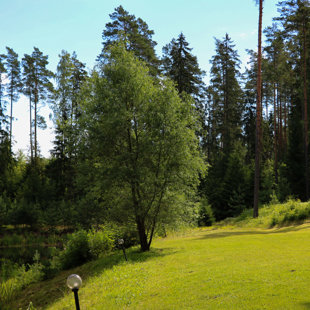 2017.07.23 - rīts pēc kāzām
