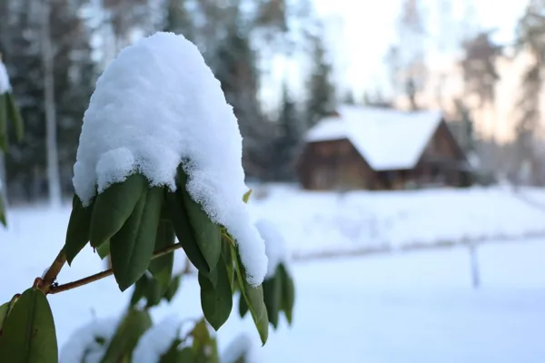 2018. gada decembrī