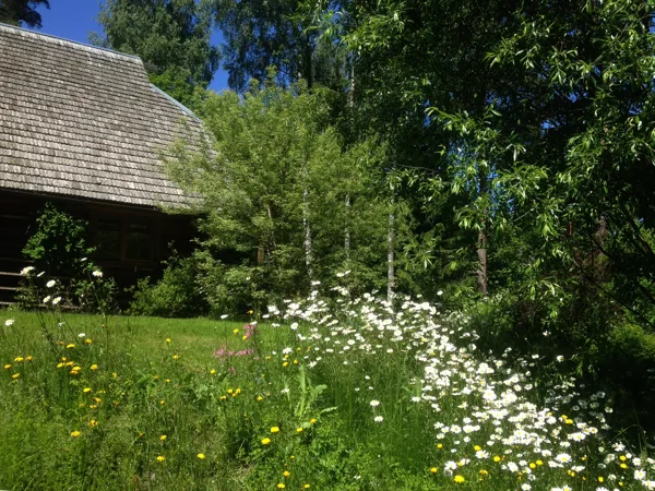 2017 - apkārtne